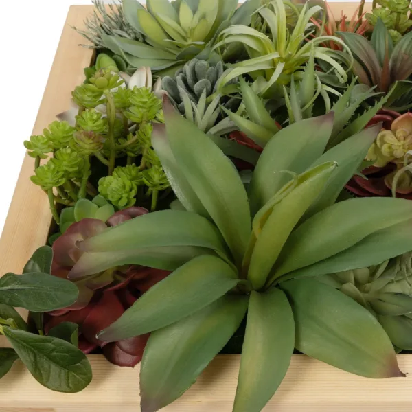 GloboStar® Artificial Garden VARIOUS PLANT 20642 Τεχνητό Διακοσμητικό Φυλλωσιάς σε Ξύλινο Πάνελ  - Κάθετος Κήπος Μιξ Μ60 x Π60 x Υ20cm - Image 5