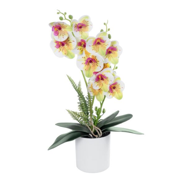 GloboStar® - 21078