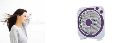 Anemistires-BoxFan Anemistires-BoxFan