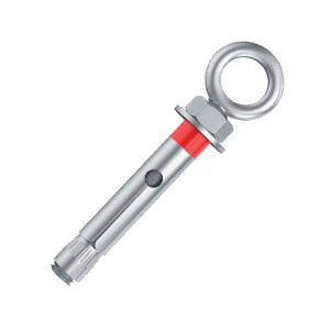 ΑΓΚΥΡΙΔΙΟ ΜΕ ΚΡΙΚΟ M10 10Х60mm